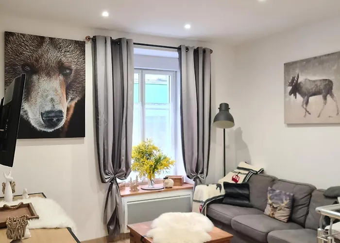 Appartement Cesar De Standing Plein Centre
